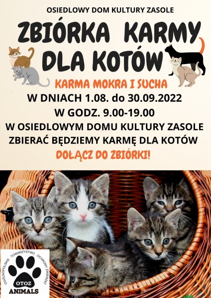 Plakat przedstawiający szare małe kotki siedzące w wiklinowym koszu
